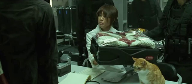 Space Battleship Yamato - Dr. Sado Reiko Takashima with ginger and white tabby cat on table