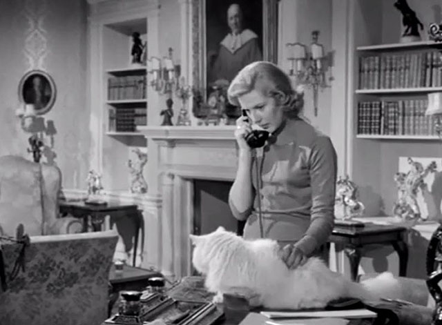 The Spaniard's Curse - Margaret Susan Beaumont on phone stroking white longhair cat on desk