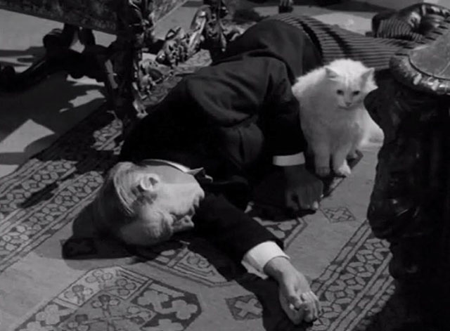 The Spaniard's Curse - CManton Michael Hordern lying on floor with white longhair cat beside him