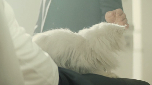 Spectre - Blofeld's white Angora cat on Bond's lap