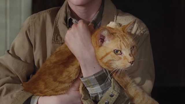 The Spiderwick Chronicles - closer of orange tabby cat Tibbs held by Simon