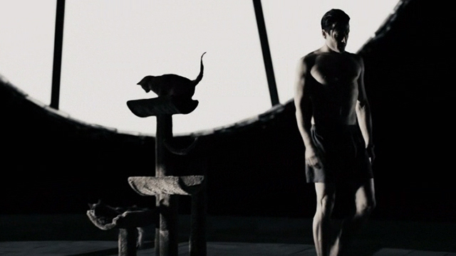 The Spirit - Spirit Gabriel Macht with cats on cat tree