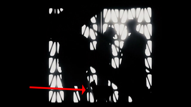 The Spirit - outline of cat seen outside elevator