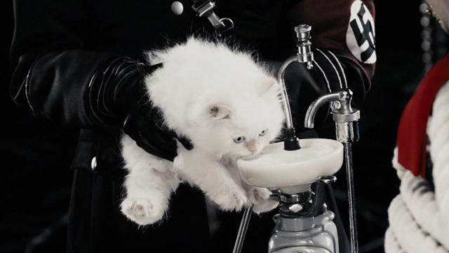 The Spirit - white long-haired kitten Muffin drinking milk from dentist chair sink