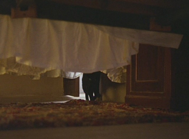 The Spirit of the Beehive - black cat enters room