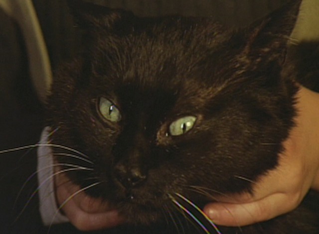 The Spirit of the Beehive - black cat being strangled by little girl Isabel