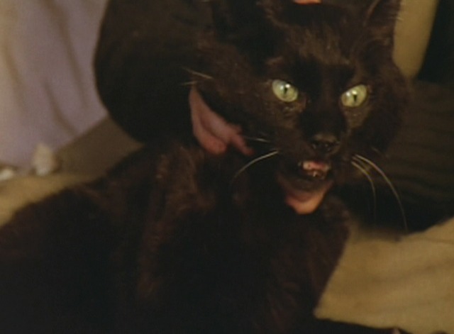 The Spirit of the Beehive - black cat pulls away from Isabel strangling