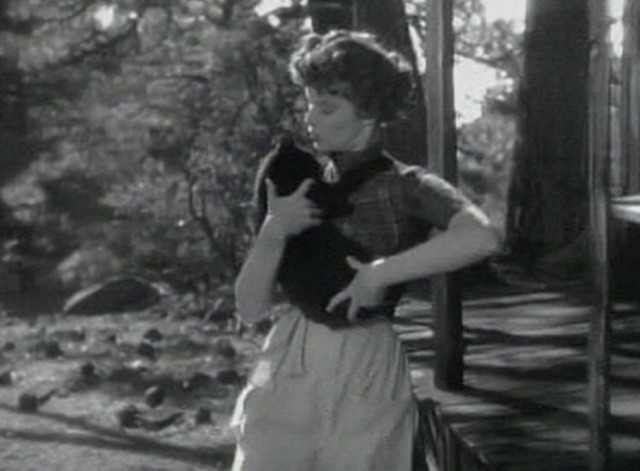 Spitfire - black cat Zedrack carried by Trigger