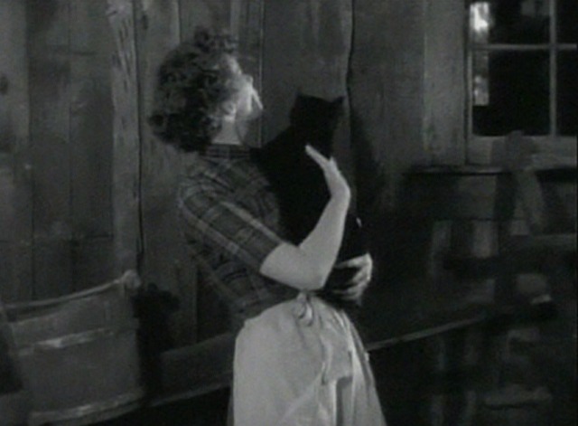 Spitfire - black cat Zedrack carried by Trigger 2