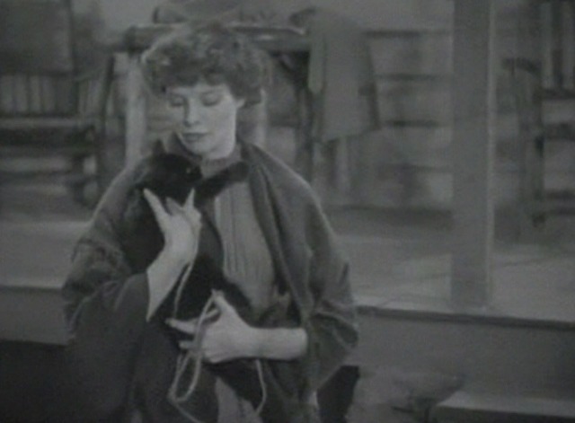 Spitfire - black cat Zedrack with Trigger going home