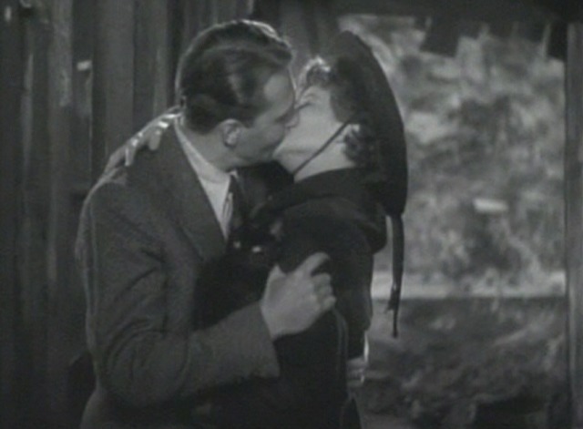 Spitfire - black cat Zedrack in between Trigger and Fleetwood as they kiss