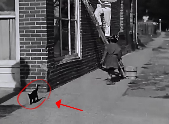 Our Gang - Spook Spoofing black cat on sidewalk walks away