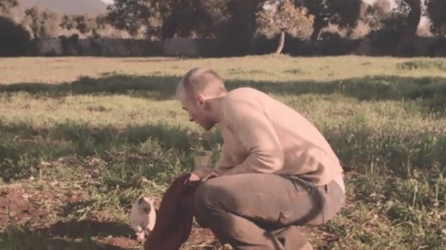 Spring - Evan Lou Taylor Pucci picking up kitten in orchard
