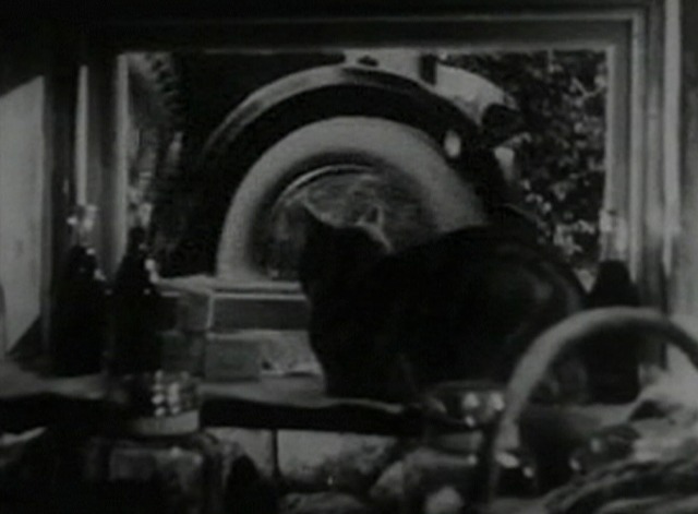 Spy in Black - cat watches through window as car drives up