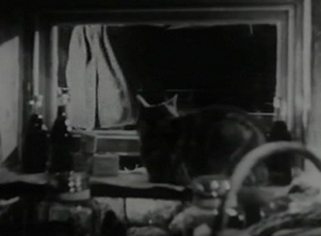 Spy in Black - cat watches through window as chauffeur exits car