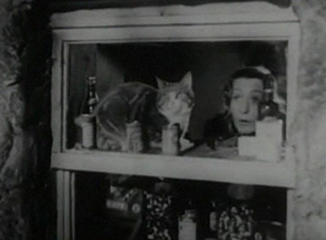 Spy in Black - cat and Maggie looking through window