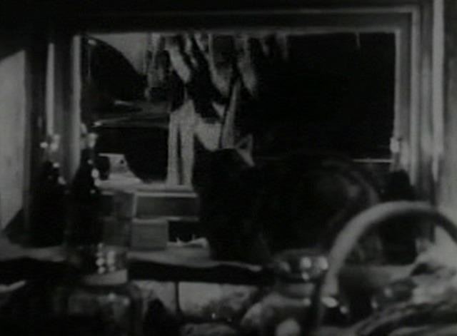 Spy in Black - cat watches through window as rich woman exits car