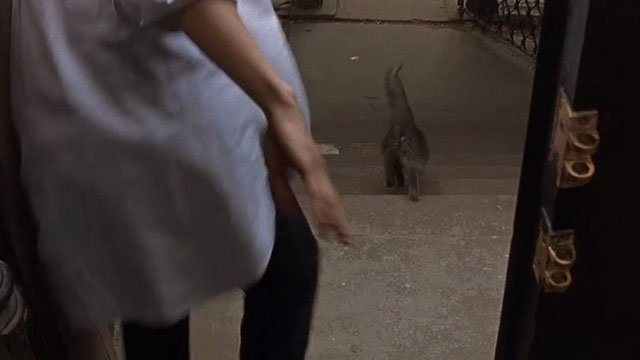 The Squid and the Whale - long-haired gray cat running down steps