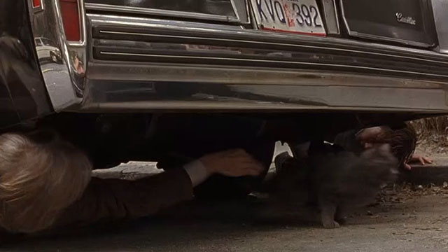 The Squid and the Whale - Bernard Jeff Daniels losing grip on long-haired gray cat under parked car