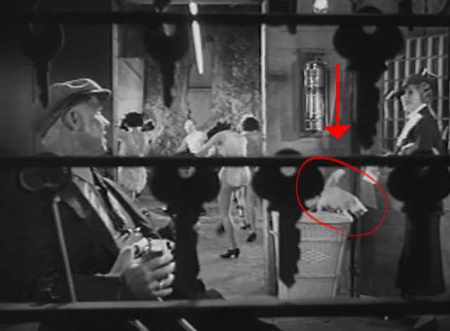 Stage Mother - white kitten on basket