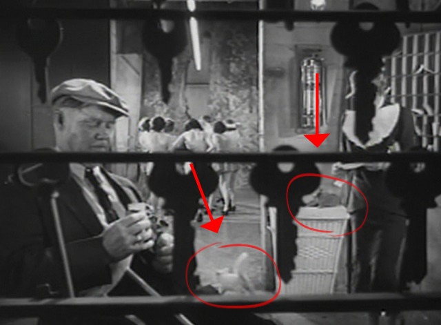 Stage Mother - kittens in background