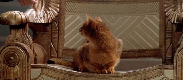 Stargate - Abyssinian cat sitting on throne