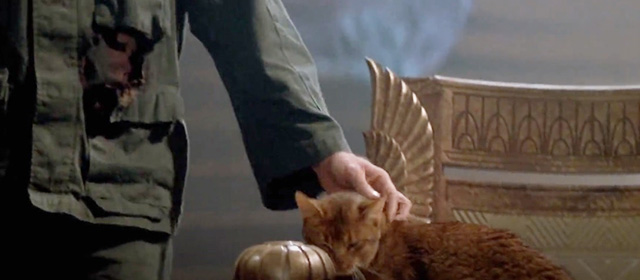 Stargate - Abyssinian cat sitting on throne as Daniel James Spader approaches