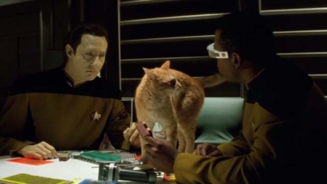Star Trek: Generations - Spot orange tabby cat on table between Data Brent Spiner and Geordi Levar Burton