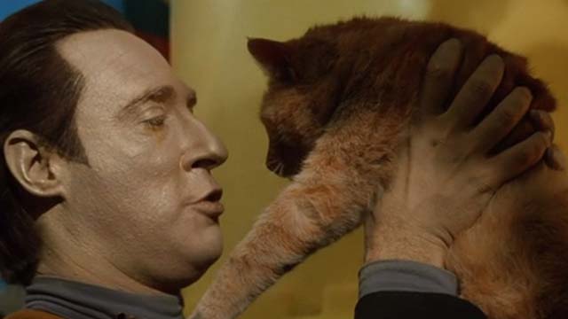 Star Trek: Generations - Spot orange tabby cat being held up by Data Brent Spiner
