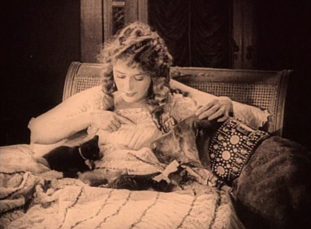 Stella Maris - Mary Pickford with kittens on bed and pointing at Teddy dog