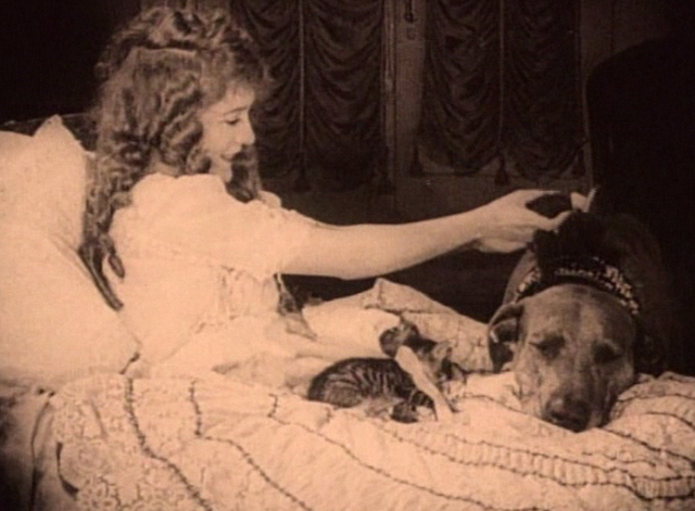 Stella Maris - Mary Pickford places black kitten on Teddy dog's head