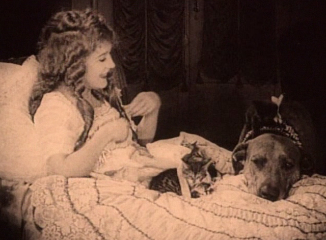 Stella Maris - Mary Pickford looks at black kitten on Teddy dog's head