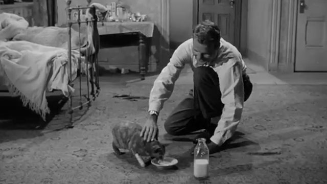 Step Down to Terror - Johnny Charles Drake holding gray cat with bandaged leg