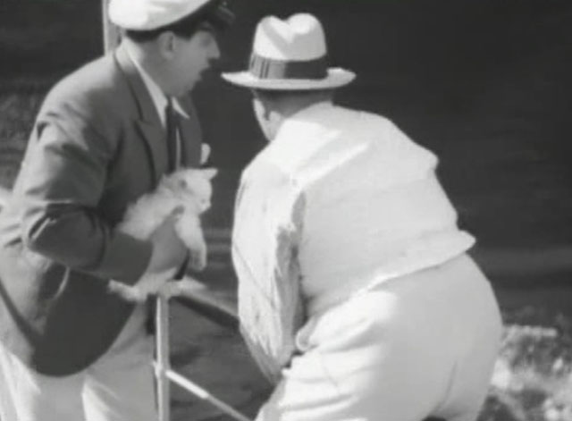 En stilla flirt - white cat Murre being passed from man to man