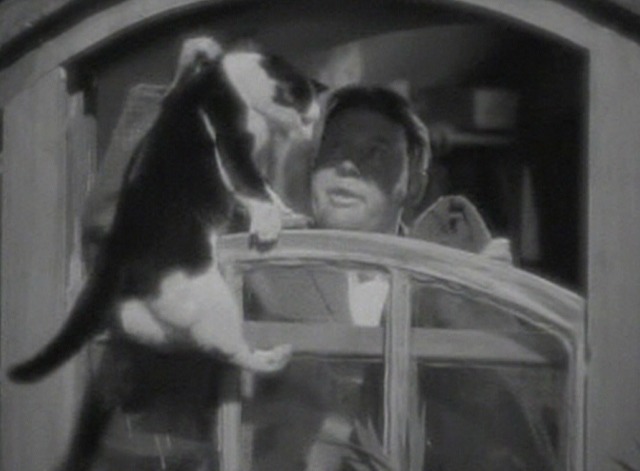 St. Martin's Lane - Charles picks up black and white cat at window by scruff