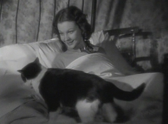 St. Martin's Lane - Liberty finds black and white cat on her bed