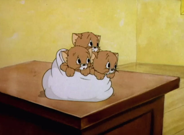 The Stork's Holiday - three cartoon kittens in bundle on table