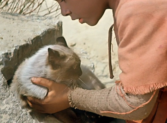 Die Geschichte vom kleinen Muck - The Story of Little Mook - Johannes Maus finding seal point longhair cat Ibrahim in desert