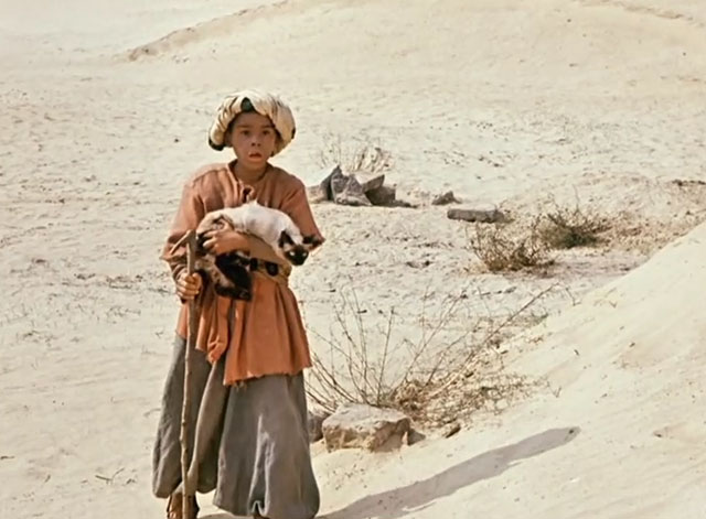 Die Geschichte vom kleinen Muck - The Story of Little Mook - Johannes Maus carrying seal point longhair cat Ibrahim in desert