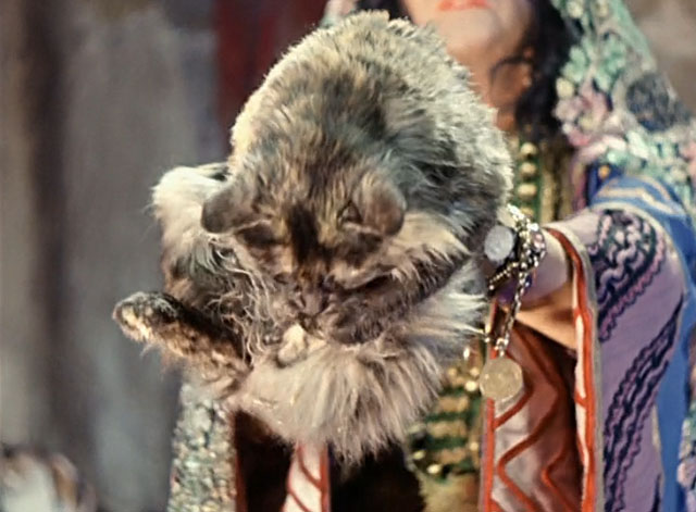 Die Geschichte vom kleinen Muck - The Story of Little Mook - Ahavzi holding out mottled longhair tortoiseshell cat Ibrahim