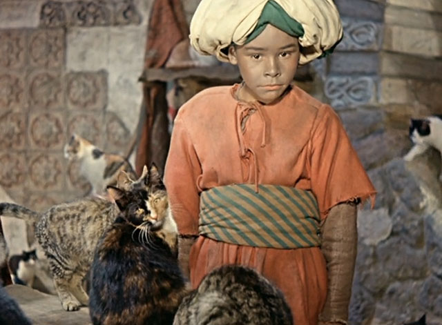 Die Geschichte vom kleinen Muck - The Story of Little Mook - Johannes Maus with numerous cats