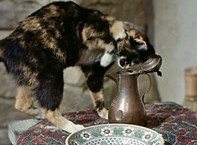 Die Geschichte vom kleinen Muck - The Story of Little Mook - calico cat looking into pitcher