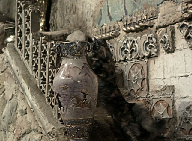 Die Geschichte vom kleinen Muck - The Story of Little Mook - mottled longhair tortoiseshell cat Ibrahim ahout to knock over large vase