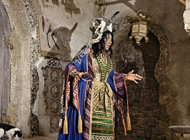 Die Geschichte vom kleinen Muck - The Story of Little Mook - Ahavzi Trude Hesterberg with gray and white tabby cat on head