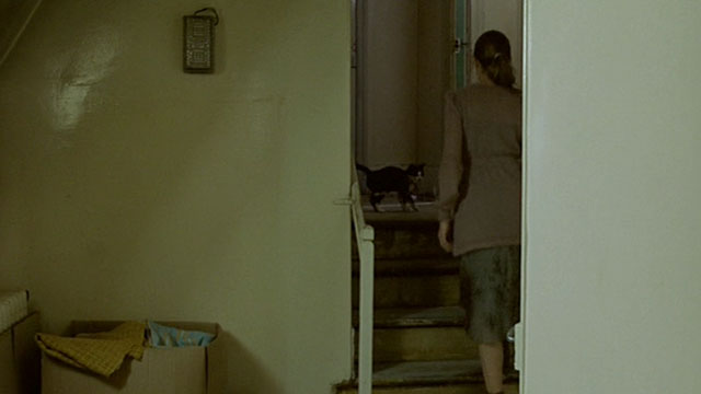 Histoire de Marie et Julien - The Story of Marie and Julien - Emmanuelle Béart on stairs with tuxedo cat Nevermore Gaspard