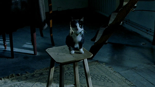 Histoire de Marie et Julien - The Story of Marie and Julien - tuxedo cat Nevermore Gaspard sitting on chair