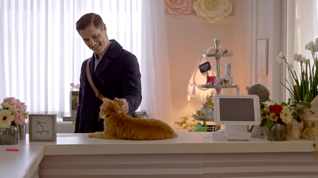 The Story of Us - Sawyer Sam Page petting ginger tabby cat Eliot on counter