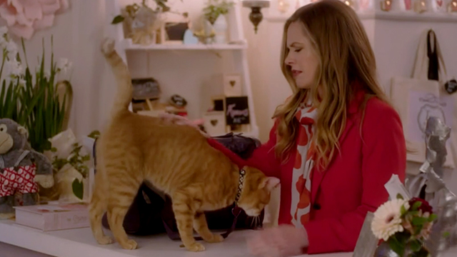 The Story of Us - Jamie Maggie Lawson with ginger tabby cat Eliot