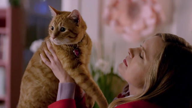 The Story of Us - Jamie Maggie Lawson holding up ginger tabby cat Eliot