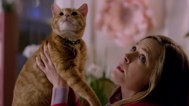 The Story of Us - Jamie Maggie Lawson holding up ginger tabby cat Eliot